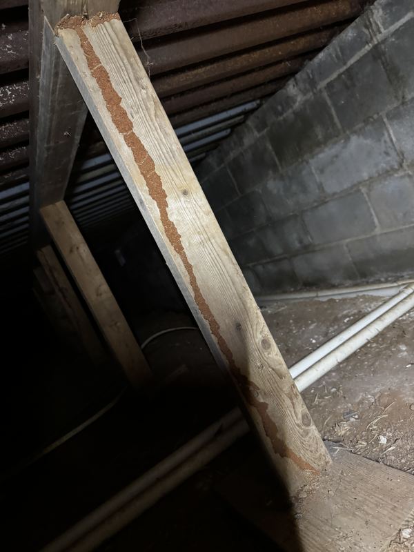 Termite mud tube running the length of a wooden support in a crawl space