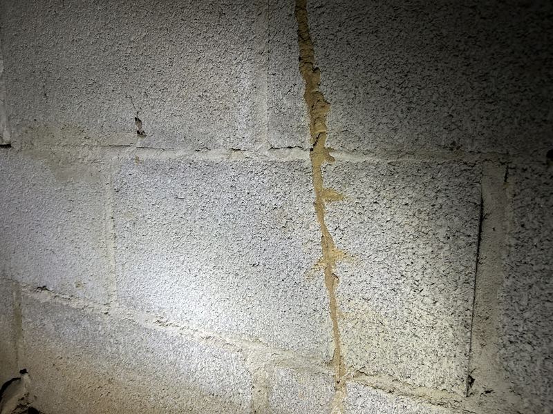 Single termite shelter tube on a concrete block foundation wall