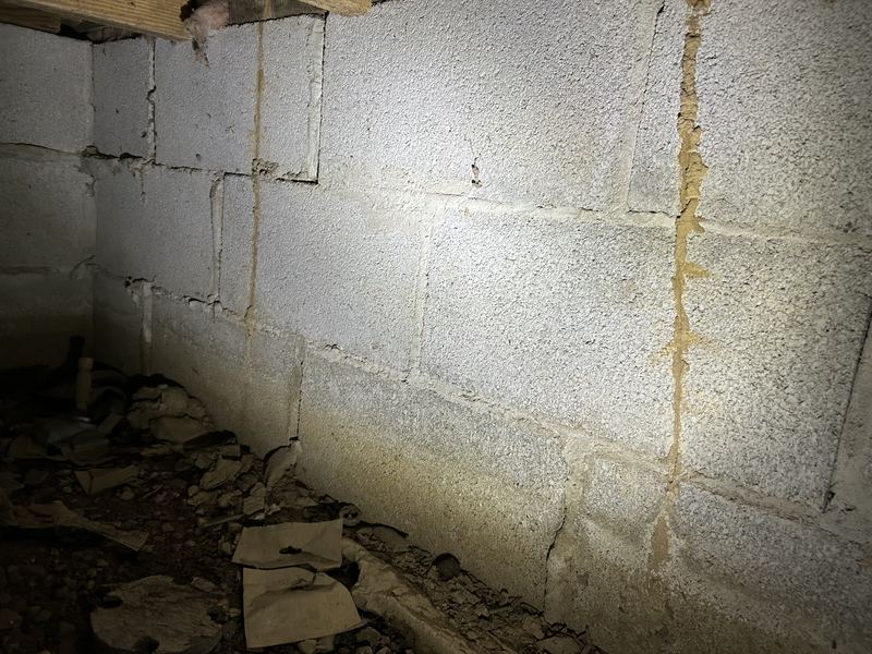 Two termite shelter tubes on a crawl space block wall